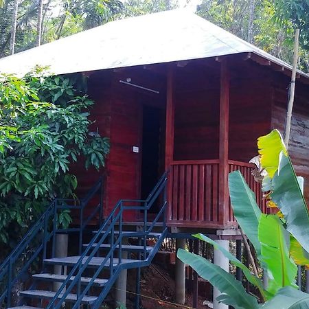 Misty Mornings Resort Ambalavayal Exterior photo