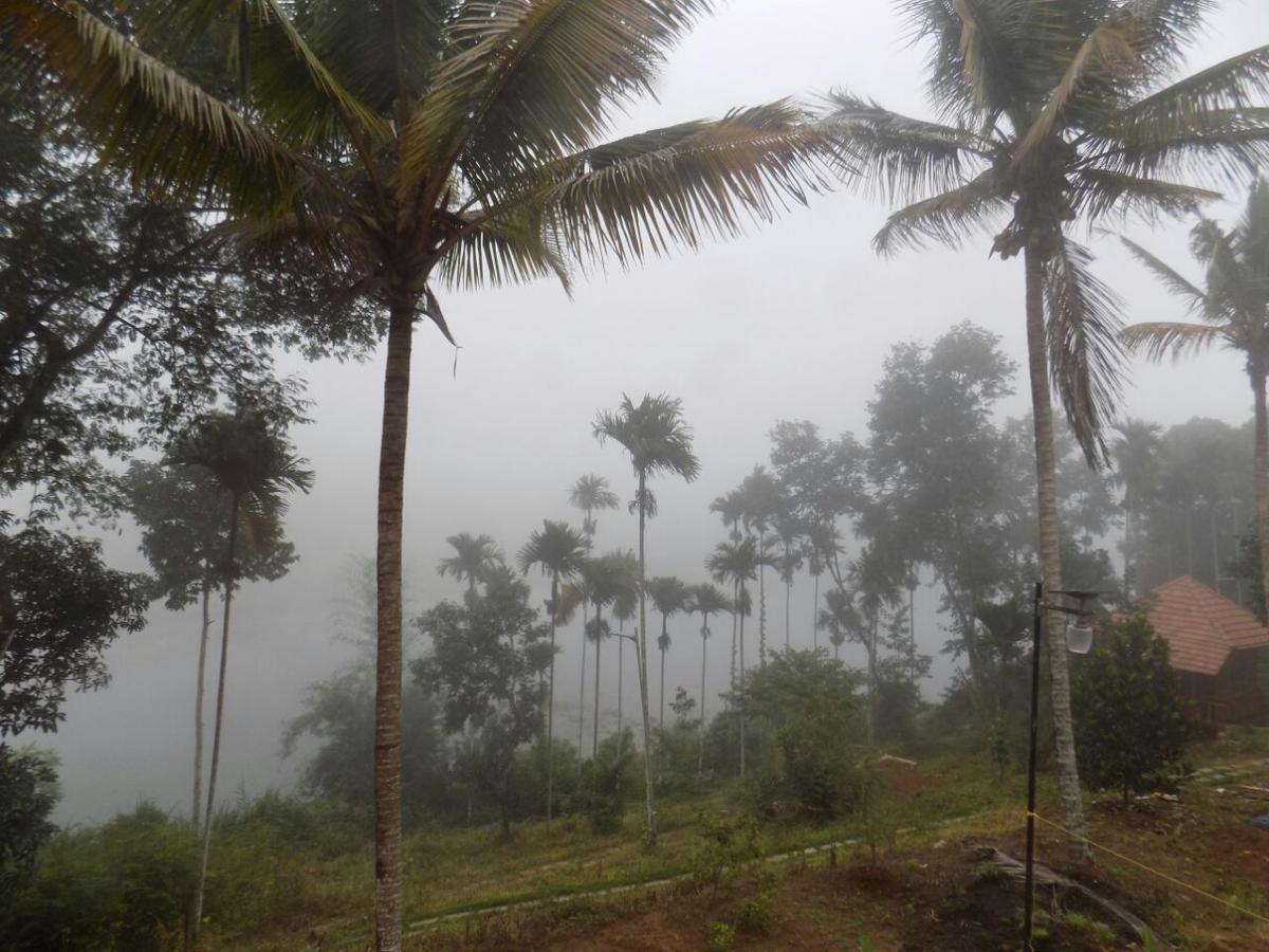 Misty Mornings Resort Ambalavayal Exterior photo