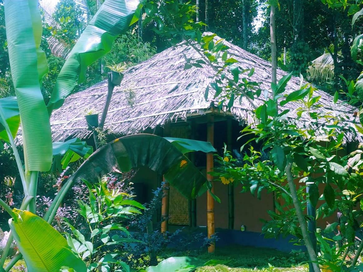 Misty Mornings Resort Ambalavayal Exterior photo